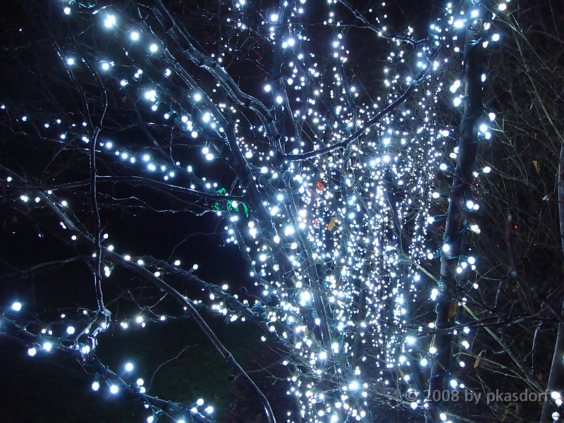 118 Toledo Zoo Light Show [2008 Dec 27].JPG - Scenes from the Toledo Zoo Light Show.